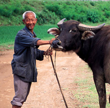 小型飼料顆粒機(jī),農(nóng)民圓夢(mèng)！